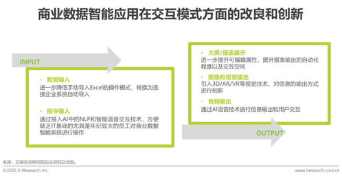 2022年中國(guó)商業(yè)數(shù)據(jù)智能行業(yè)研究 標(biāo)準(zhǔn)化服務(wù)的崛起與挑戰(zhàn)